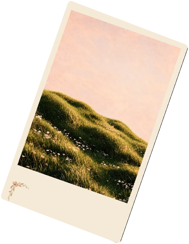 TSLA Leveret art card